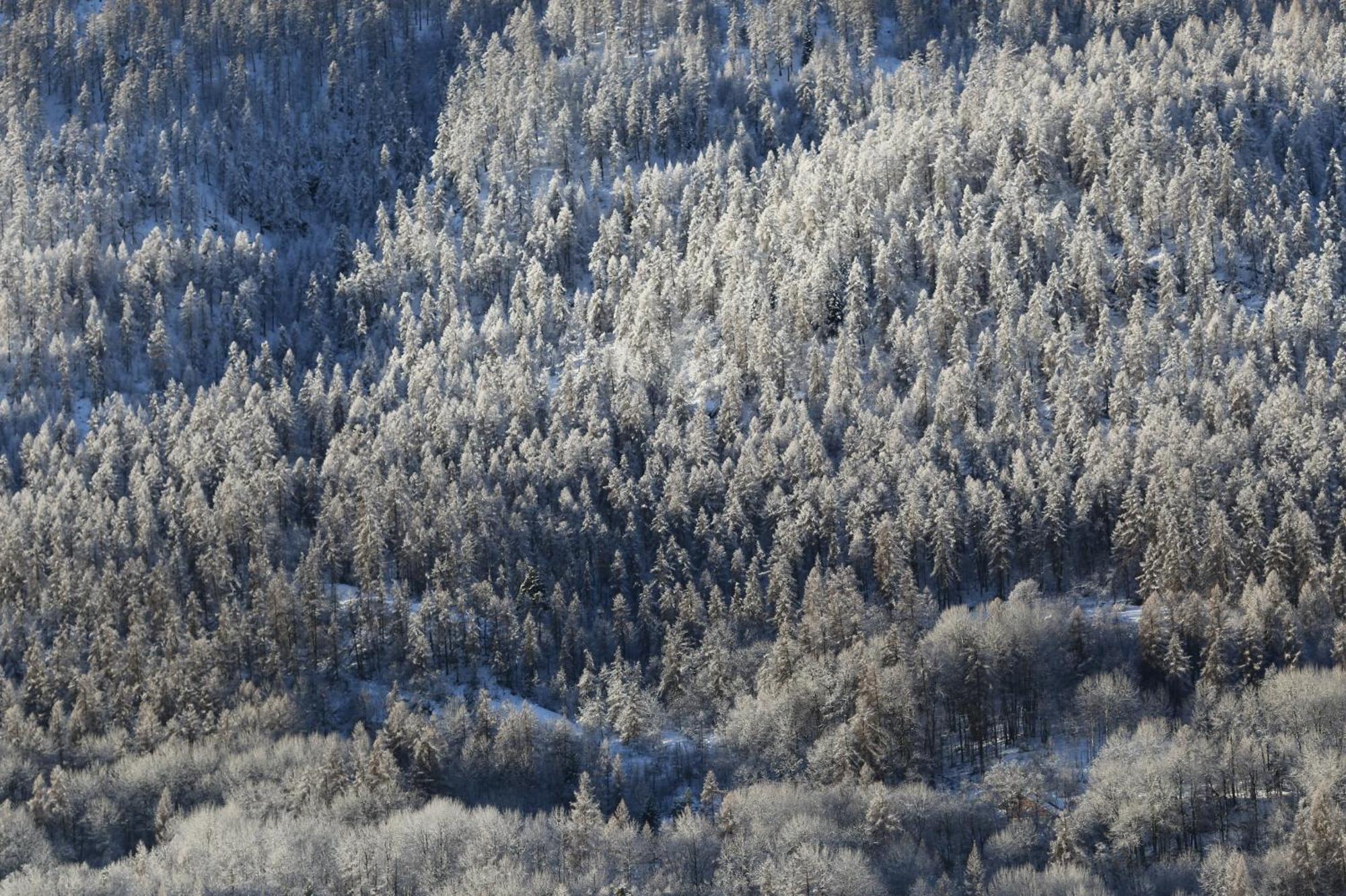 Maison De Montagne Serre Chevalier Сен-Шафре Екстериор снимка
